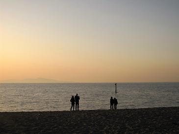 f324343c.jpg