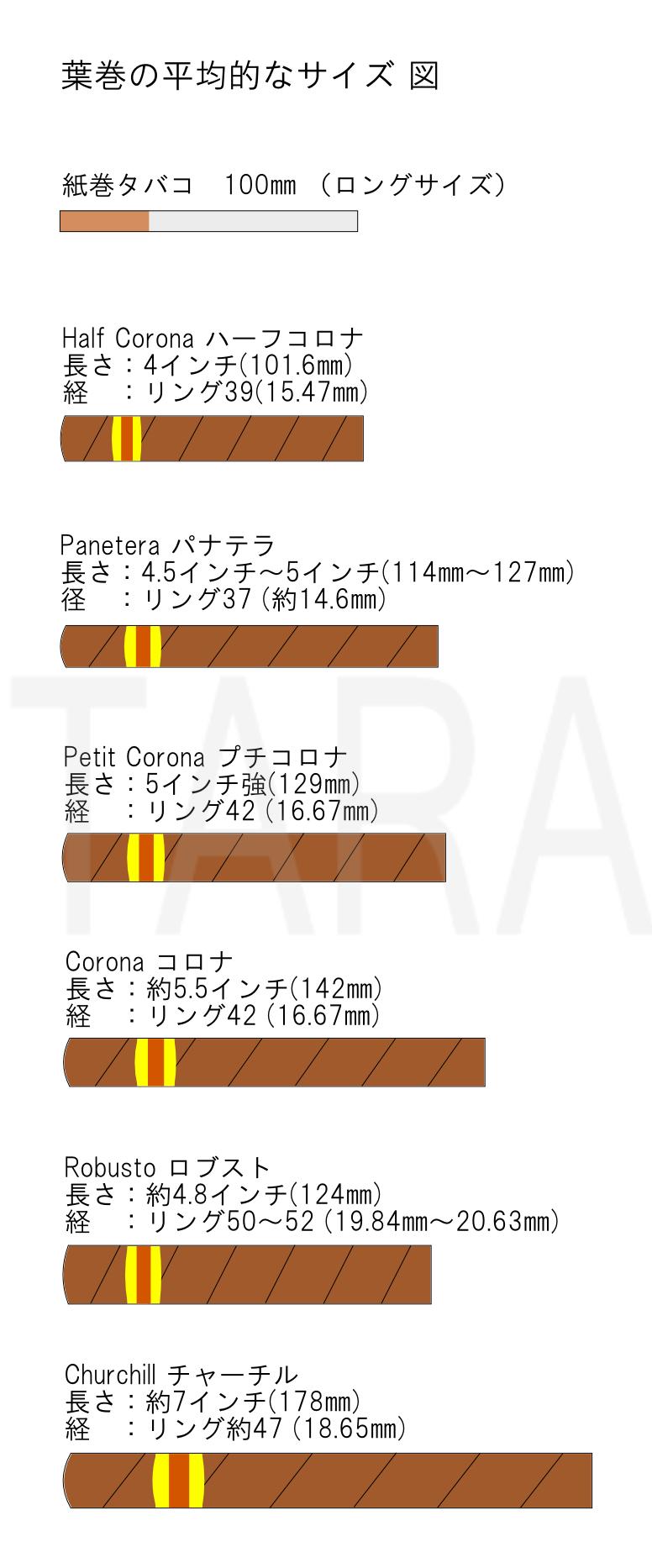 葉巻のサイズ 好きなこと言ってストレス発散するブログ