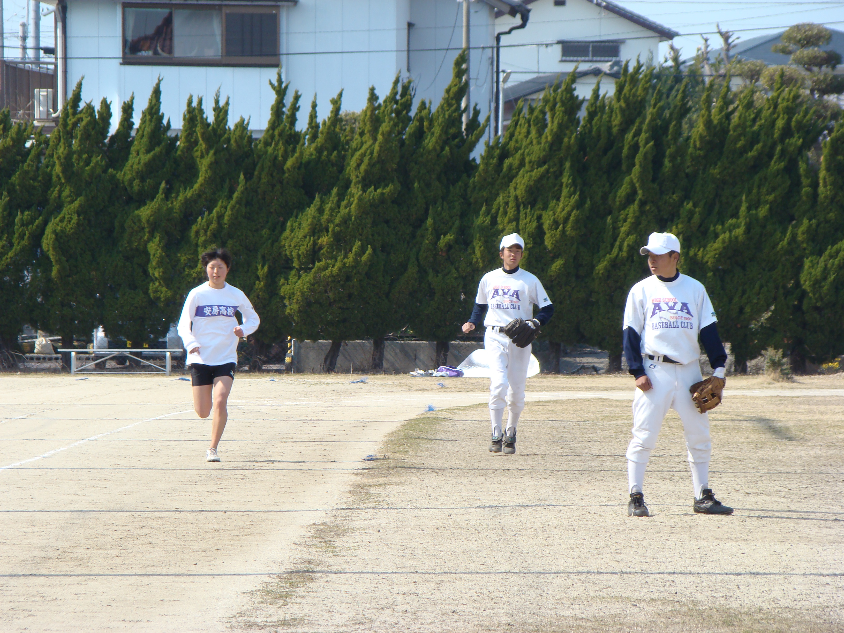 安房高野球部を勝手に応援するページ 08年03月 安房高野球部を勝手に応援するページ 08年03月