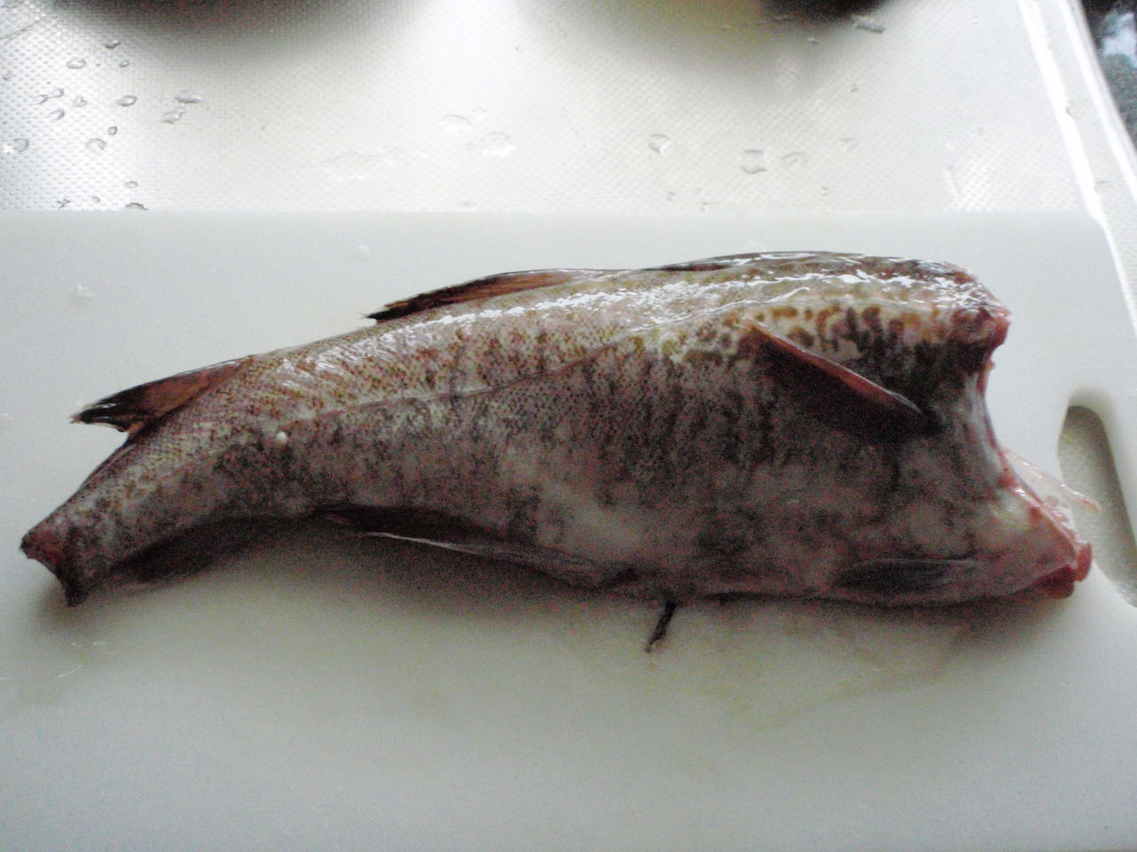 鱈とイカ ちりも積もれば おひとり様のコツコツ