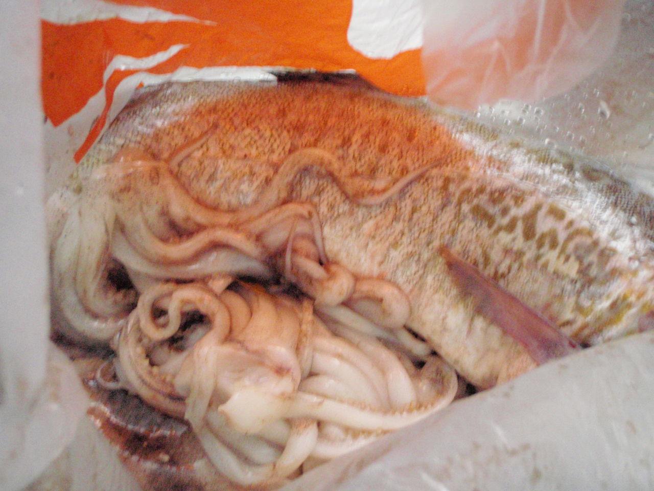 鱈とイカ ちりも積もれば おひとり様のコツコツ