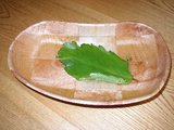 20050117�ޥ����꡼��������