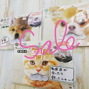 IMG_20201029_171855_502