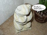 20050218バリっ子カエル