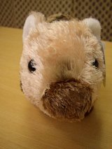 20061124����˷��