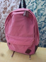 20101017�ԥ󥯥��å�