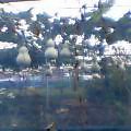 20050914�Ҥ礦����Ȫ