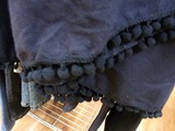 20110531とかげ2