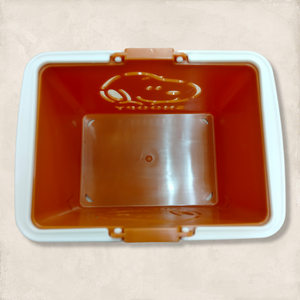 PhotoRoom-20220223_162333