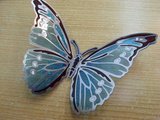 20080405�ѥԥޥ���