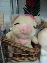 20080517���ॹ��ԥå�