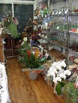 20050429���֣�