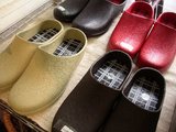 20060219ガーデン2