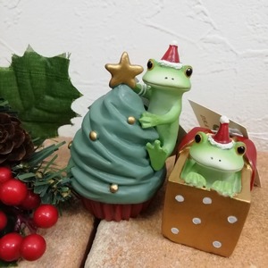 IMG_20191110_182429