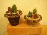 20060215サボ