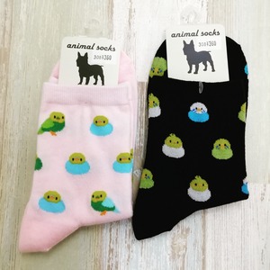 IMG_20200903_150537_433