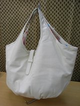 20070419�Х롼��ȡ�����