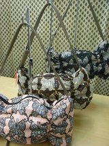 20080123ĳ�Хå�