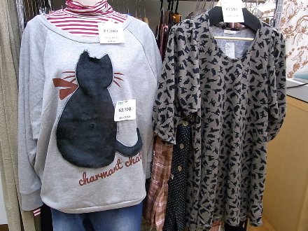 20121202ネコ5