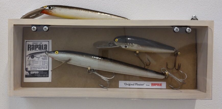 コレクションケース追加！ : たろう釣り日記 