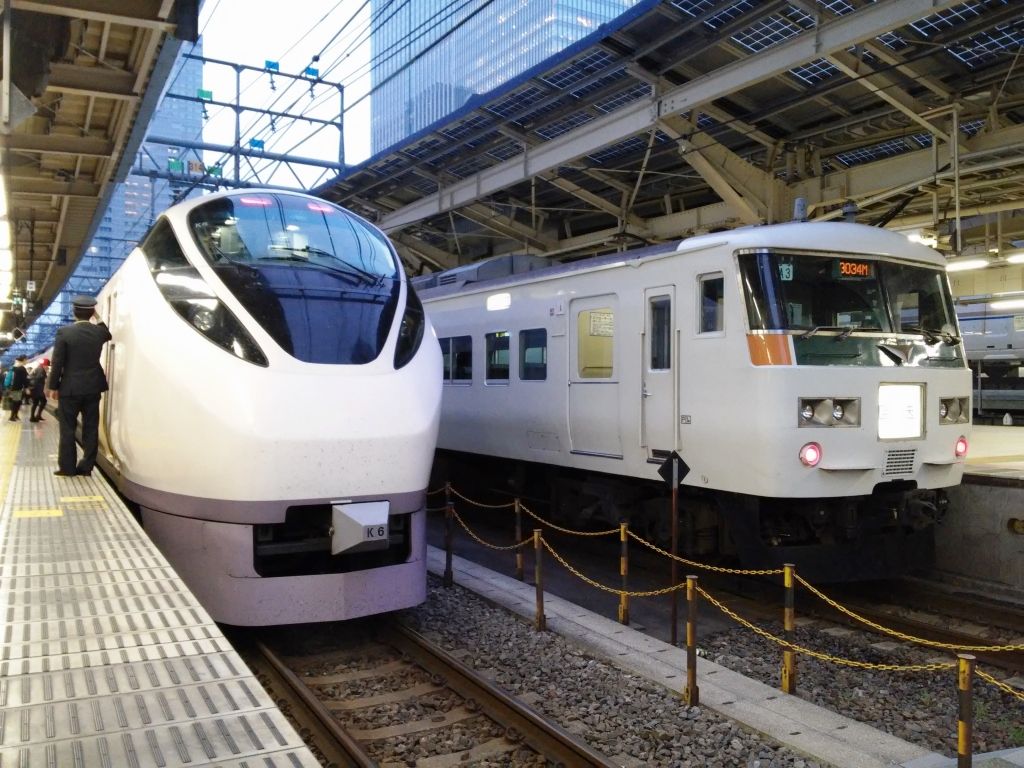185系の横に怖い顔の特急電車 なんたって117