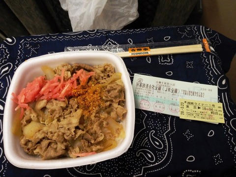 湘南ライナー1号 (2)