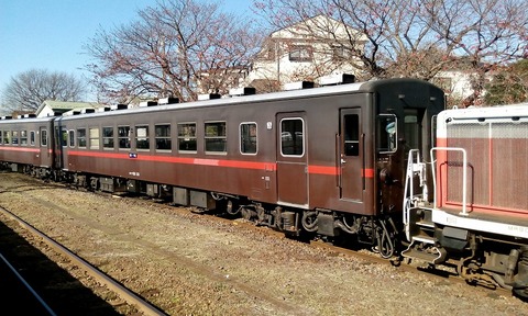 50系 (1)