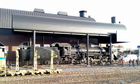 D51 (1)