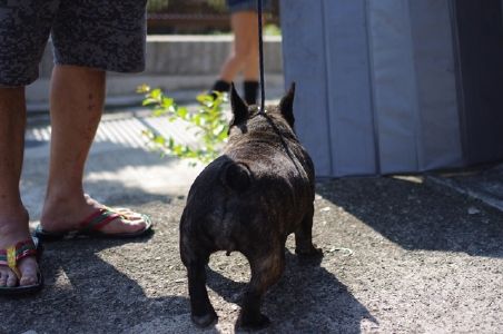23里帰り
