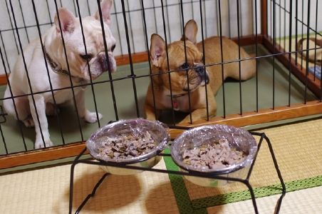 4里帰り