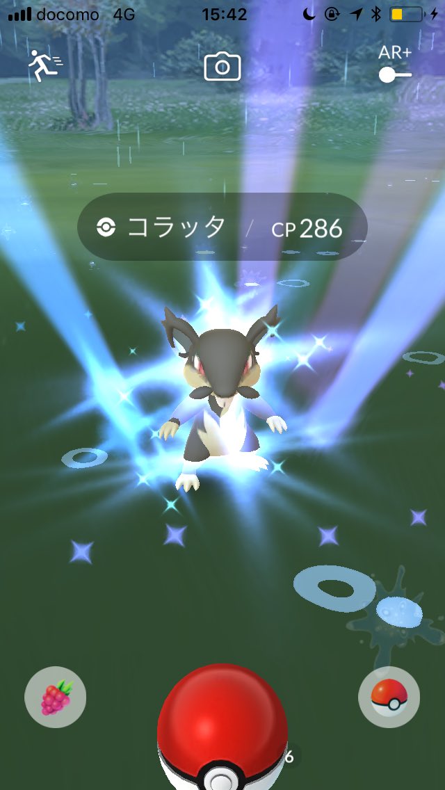 ポケモンgo アローラコラッタ目撃 ゲット報告が相次ぐ 本日実装 日刊トレンド 今日の話題
