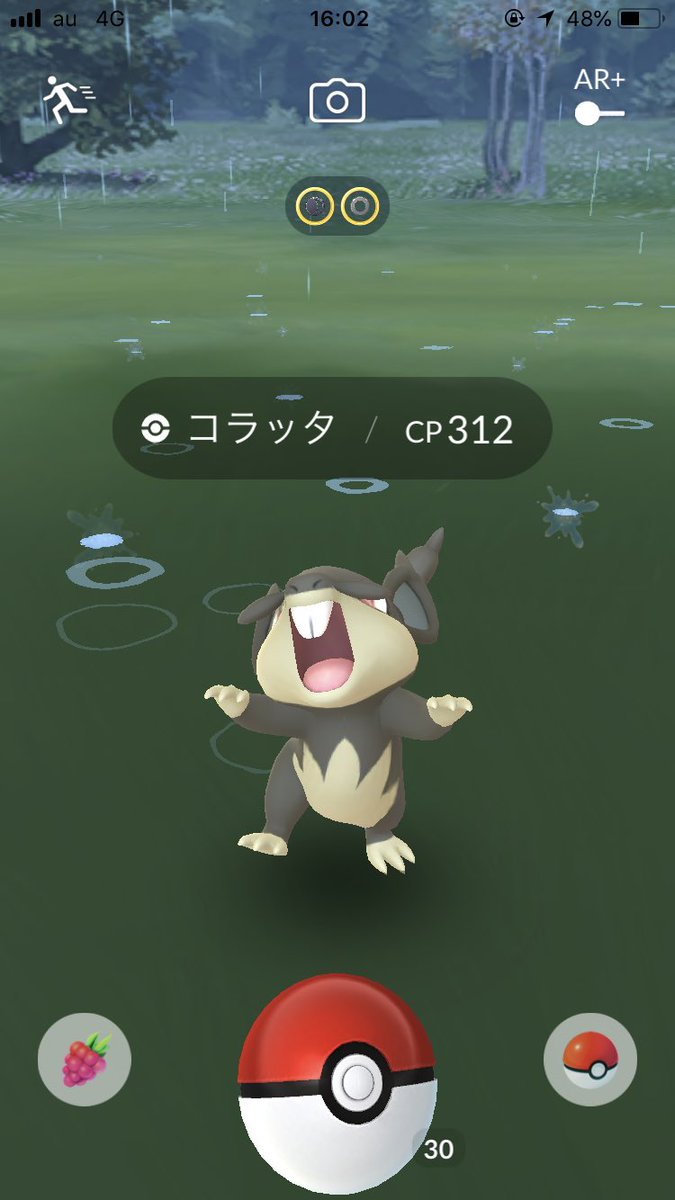 ポケモンgo アローラコラッタ目撃 ゲット報告が相次ぐ 本日実装 日刊トレンド 今日の話題 ポケモンgo アローラコラッタ目撃 ゲット報告が相次ぐ 本日実装 日刊トレンド 今日の話題