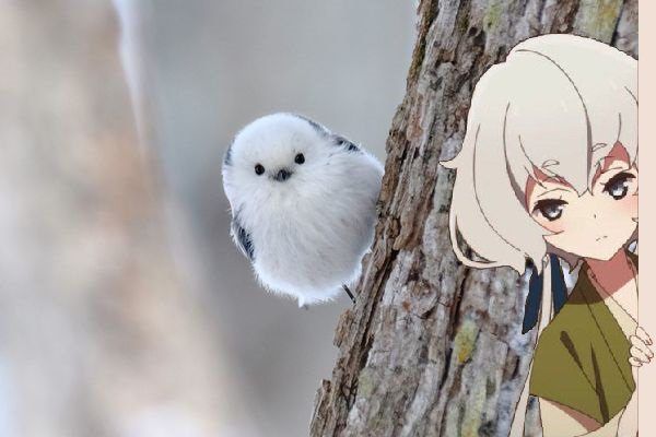 ゾンビランドサガ 5話がヤバいｗｗｗドライブイン鳥の社長が登場したり声優が体張ってたり 佐賀アニメ凄い ｗｗ Vtuberころ Vの裏