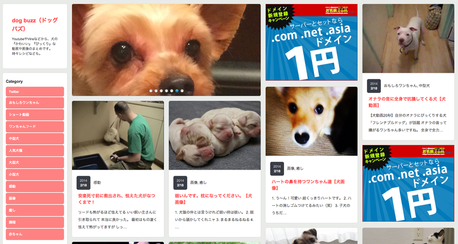 う〜ん新サイトがアクセス伸び悩み | dogbuzz（ドッグバズ）