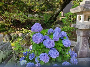 IMG_20220622_162159