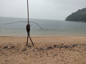 IMG_20220615_082716