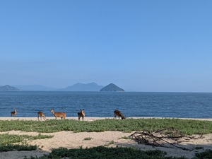 PXL_20260628_073540860
