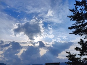 IMG_20220624_172552
