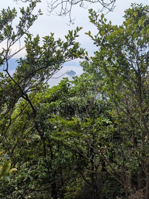 PXL_20260617_011350541
