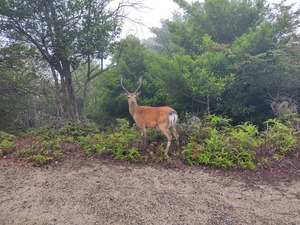 IMG_20220616_060118