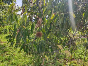 IMG_20230919_121851