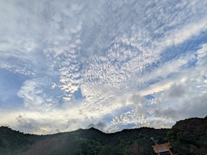 PXL_20260621_095323156