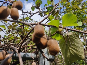 IMG_20230919_115352