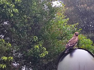 IMG_20220616_054400