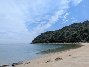 PXL_20260616_043657218