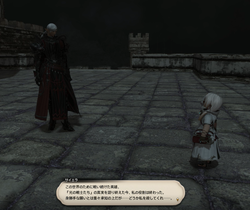 【ff14】ロールクエスト044