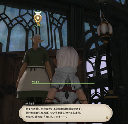 【ff14】ロールクエスト009
