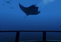 オキュラスアプリ003