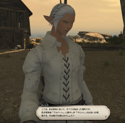 【ff14】ロールクエスト012