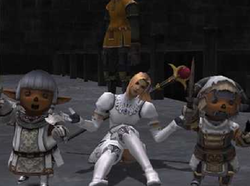 c7703097d6f316bb454f148a35af9727